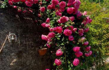 Ca' de natta - Foto 4