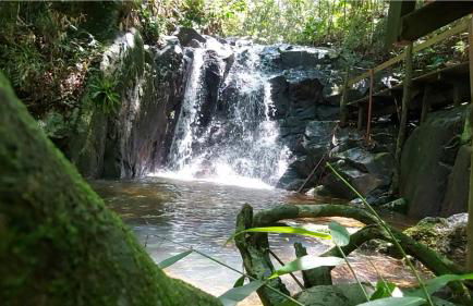 Casa Verde - #casinhasscherer - Foto 25