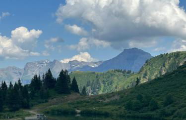 Arve et Giffre Samoens 1600 - Photo 14