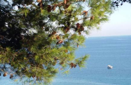 A marina on Bussana Sanremo seaside - Foto 65