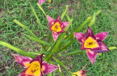 Cozy & Comfy Bright 3 Bedroom Home - Foto 10