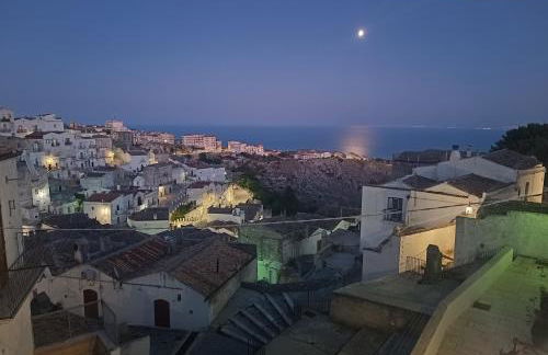 Domus MiTo - Foto 21