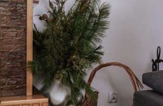 Bogdanówka - Foto 34