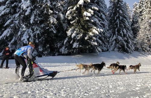 Chalet Le Doux Si, Large Self-Contained Apartment, 2km from Doucy-Combelouvière and close to Valmorel - Foto 35