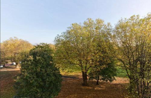 Wyatt Court - Foto 30