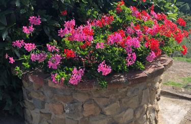 Agriturismo La Casella - Foto 9