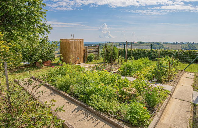 Holiday House Podhamer Marijan - Foto 30