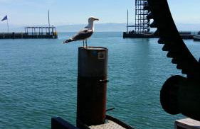 Ferienhaus Vogt - Foto 31