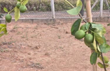 Rancho do andi - Foto 6