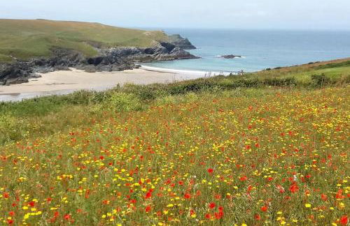 Malvern Cottage - Photo 17