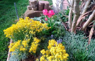 Apartment Meyerhof - Foto 13