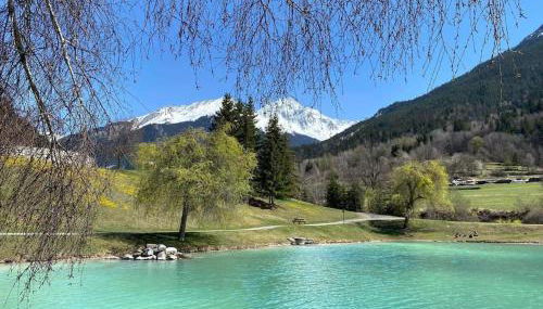 Magnifique 3 Pièces 60m2 central et proximité du lac - Foto 5