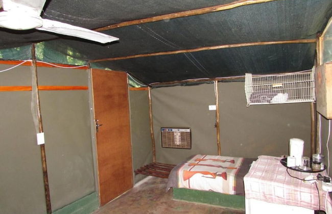 3 bed Bush-tent Under 3 Trees, for Couple Plus Chaperone Free Lionhyena Sounds - Foto 2