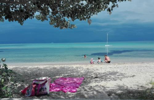 Dinos Green Place - Photo 39