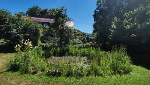 Ferienhaus am alten Steinbruch - Foto 3
