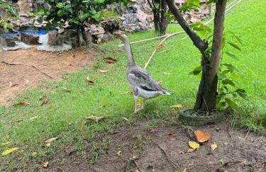 Vila Paramita - Foto 37