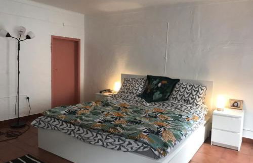 Maison traditionnelle à Estremoz - Foto 10