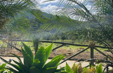 Chalés Flor do Caparaó em Patrimonio da Penha - Foto 34