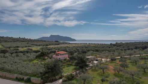 Eleni's House - Foto 3, Garden