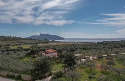 Eleni's House - Photo 3