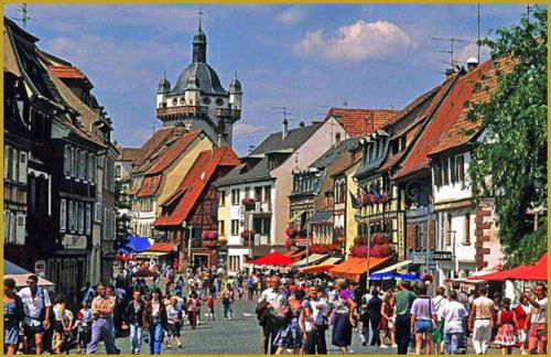 Gîte Le Marronnier, parking et terrasse au calme, entre Colmar-Riquewihr et Obernai, vue sur espaces verts et coteaux d Alsace, route du vin-châteaux - Foto 64