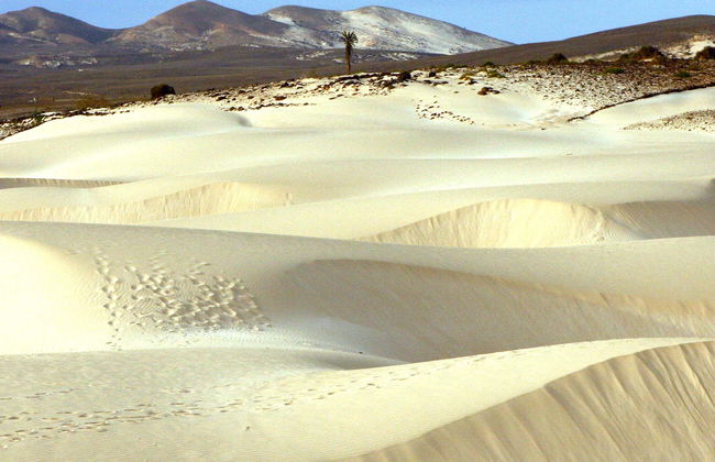 Playa de Santa Mónica, desierto de Viana y cuevas de Varandinha - Foto 1
