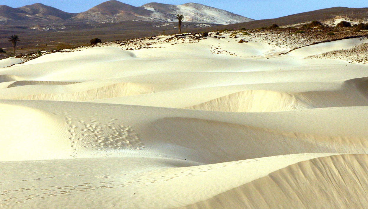Boa Vista Island Tour - Foto 1