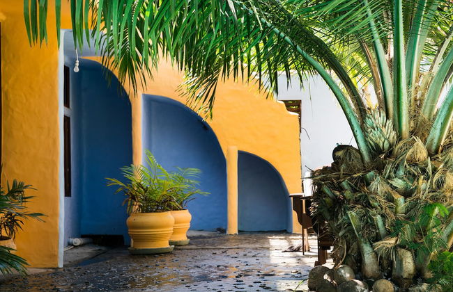 Condo las Palmas - Foto 58