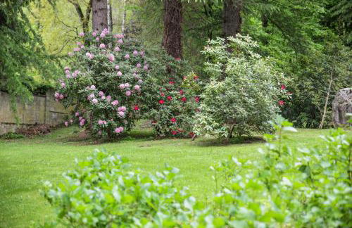 Rosa del Sasso - Foto 29