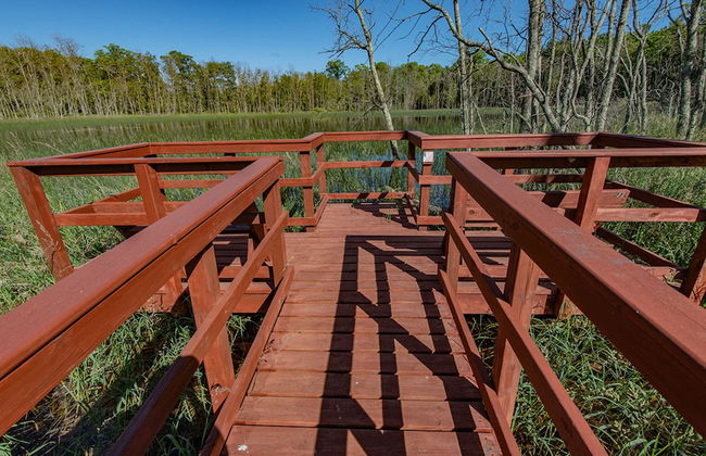 The Rushes - Foto 58