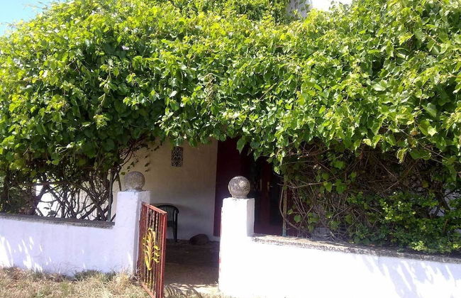 Masseria Murgia Albanese - Photo 14