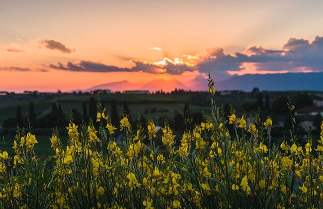 Belvilla by OYO Casetta - Foto 33