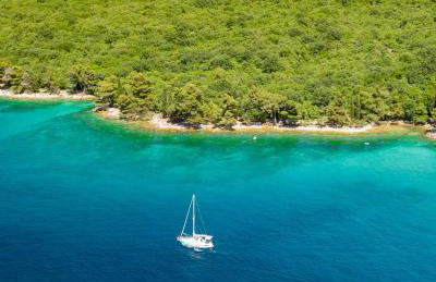 88 TREES Luxury Apartment - Foto 37