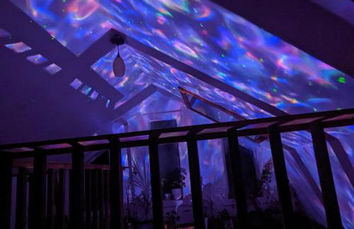 Plant House - Foto 22