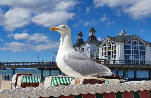 DAS APPARTEMENT INSELLIEBE RÜGEN inkl Sauna und 3h täglich Eintritt AHOI Schwimmbad - Foto 52