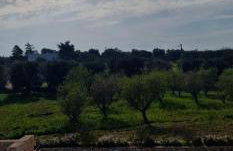 Villa Quaranta - Foto 30