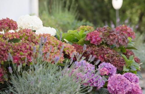 Plaatsje in het Mesnerhuis - Foto 31