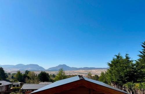 Shifty Chicken Shack - Foto 24