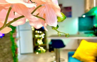 La forêt enchantée, centre ville - Foto 12