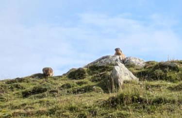 Appartement du Planet - Photo 17