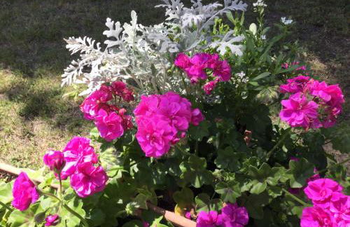 Agriturismo Flabeto - Foto 20