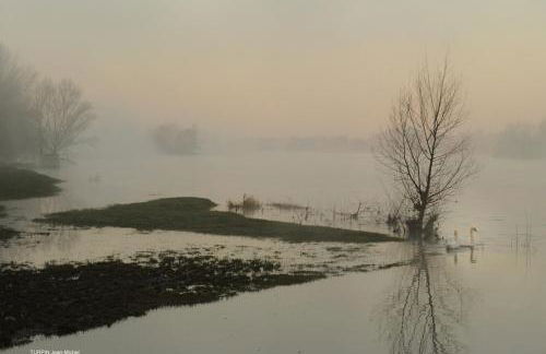 LE CEDRE Maison bord de LOIRE 4 - Foto 40