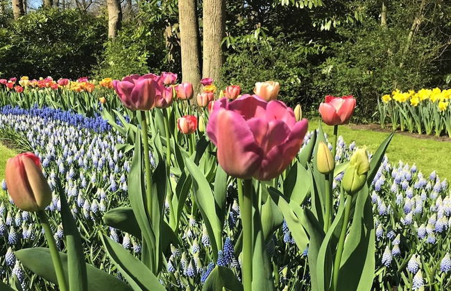 Pretty Apartment in Scheveningen near Sea Beach & Water Sports - Photo 11
