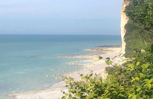 Maison familiale avec piscine Les Petites Dalles - Foto 24