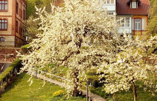 Ferienwohnungen Fröhlich - Foto 17