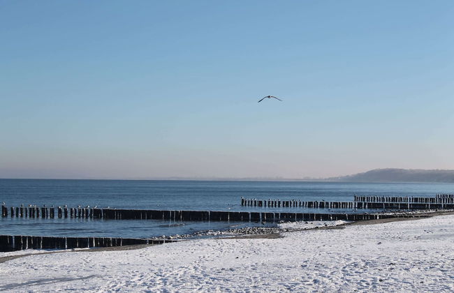 Apartment in Wittenbeck Near Baltic Sea - Photo 36