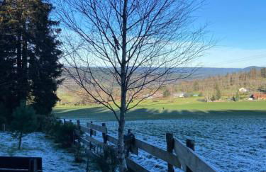 Chalet bois au calme, en lisière de forêt, balcons, sentiers balades Gérardmer & Alsace "Chalet Mon beau sapin" - Foto 53