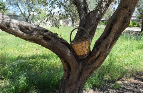 Villa Mios - Foto 58