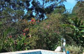 Recanto córrego frio - Foto 1