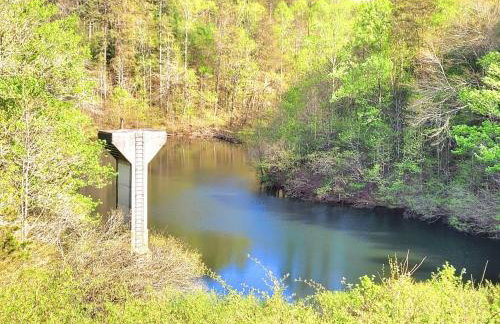 LUXURY CABIN WITH WATERVIEW AND PRIVACY, hiking - Photo 47